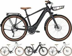 Bulls Sturmvogel-Evo 10 2020/2021