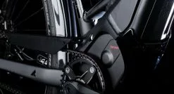 Bulls Lacuba-Evo Lite 5-Gang 2019 15 Bulls Lacuba-Evo Lite 5-Gang 2019 -Fahrradzubehör Verkäufe Motor