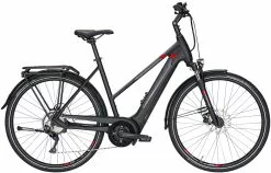 Pegasus Premio-Evo-10 2020 -Fahrradzubehör Verkäufe Pegasus Premio Evo 10 Damen Trapez black matt grey red 714 715 716 49745 49750 49755