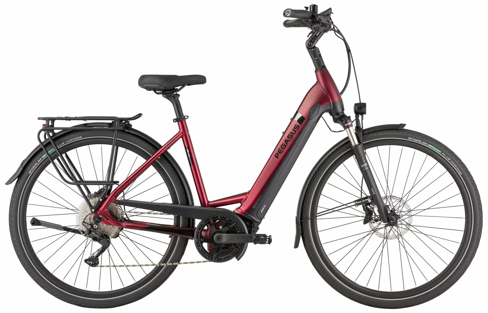 Pegasus Strong Evo-10-Lite 2021 4 Pegasus Strong Evo-10-Lite 2021 – Bild 4